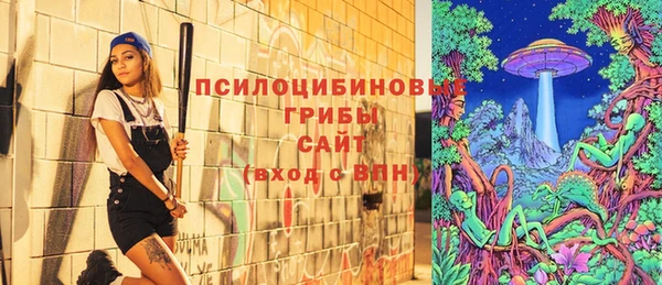 MDMA Горнозаводск