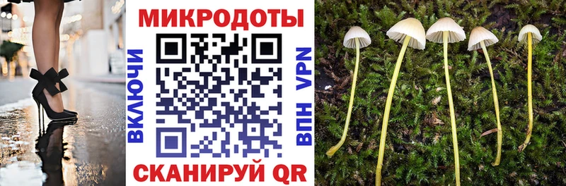 что такое   Наро-Фоминск  кракен онион  Псилоцибиновые грибы Psilocybine cubensis 