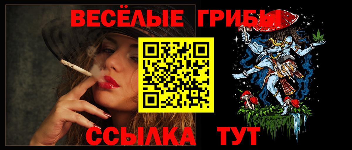 Наро-Фоминск  Псилоцибиновые грибы Psilocybine cubensis  Псилоцибиновые грибы GOLDEN TEACHER  Вход с VPN 