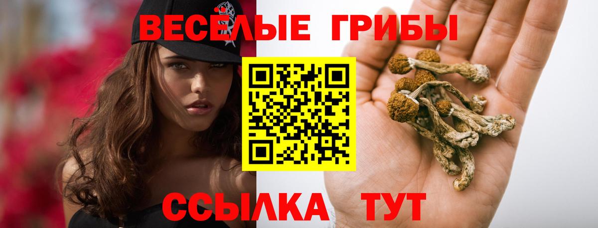 Псилоцибиновые грибы MAGIC MUSHROOMS Наро-Фоминск